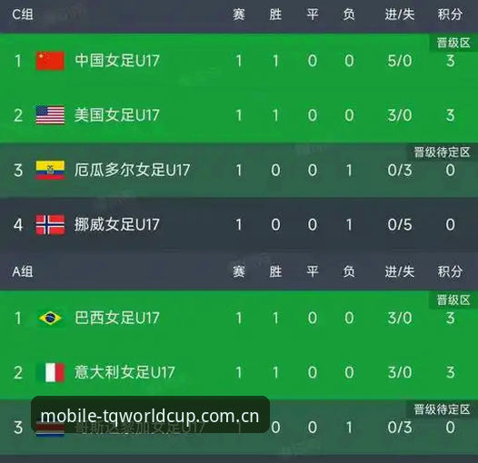 U17世界杯分组深度分析:中国男女足命运几何?从世界杯体育平台看赛事前景